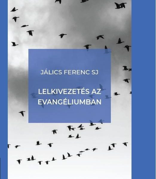 LELKIVEZETÉS AZ EVANGÉLIUMBAN (ÚJ BORÍTÓ)