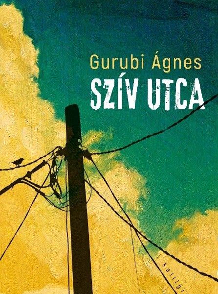 SZÍV UTCA - FŰZÖTT