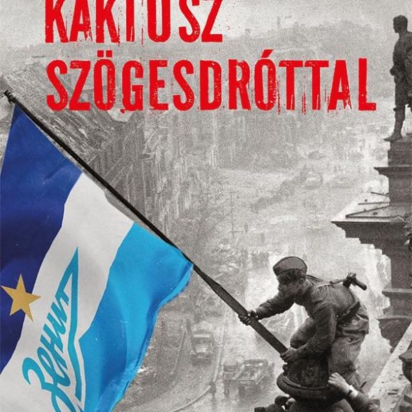 KAKTUSZ SZÖGESDRÓTTAL