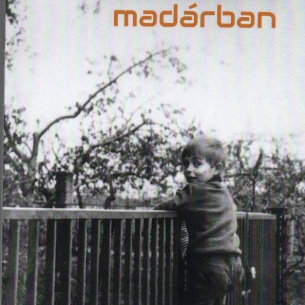 MI DALOL  A MADÁRBAN