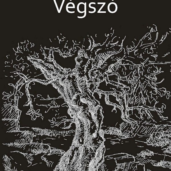 VÉGSZÓ