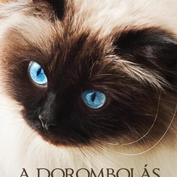 A DOROMBOLÁS MŰVÉSZETE (ÚJ BORÍTÓ)