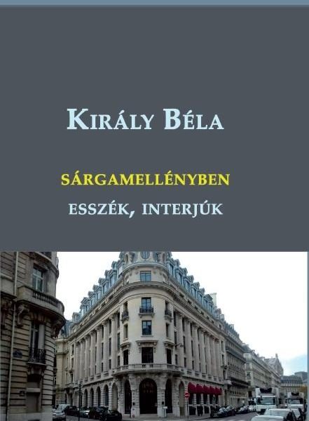 SÁRGAMELLÉNYBEN - ESSZÉK, INTERJÚK