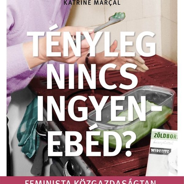 TÉNYLEG NINCS INGYENEBÉD? - FEMINISTA KÖZGAZDASÁGTAN, AHOGYAN EDDIG SOSEM MERTED