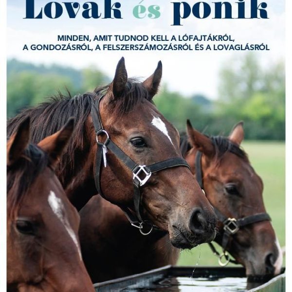 LOVAK ÉS PÓNIK - MINDEN, AMIT TUDNOD KELL A LÓFAJTÁKRÓL...