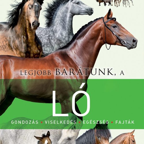 LEGJOBB BARÁTUNK, A LÓ