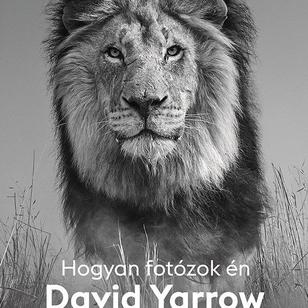 HOGYAN FOTÓZOK ÉN - DAVID YARROW