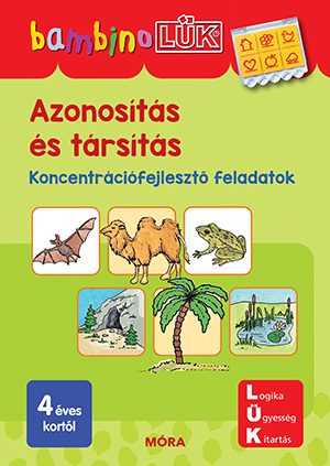 AZONOSÍTÁS ÉS TÁRSÍTÁS - BAMBINOLÜK (4 ÉVES KORTÓL)