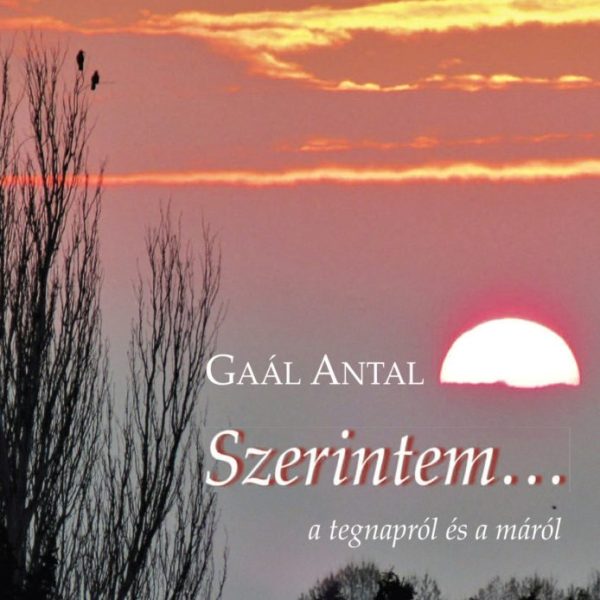 SZERINTEM...