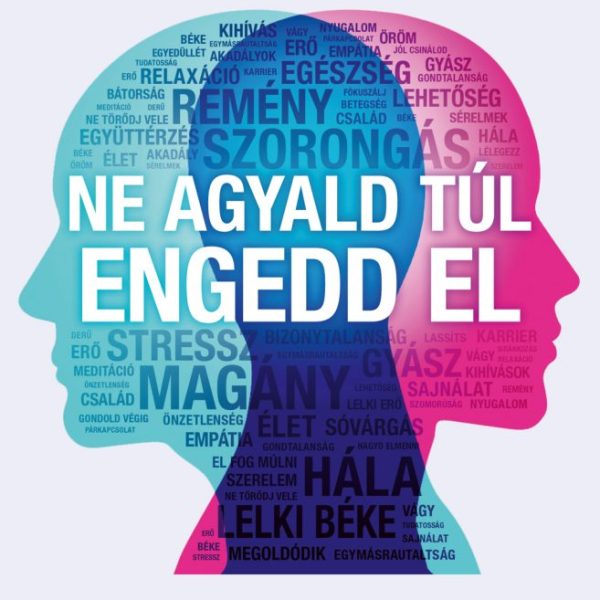 NE AGYALD TÚL, ENGEDD EL