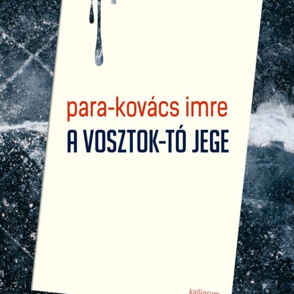 A VOSZTOK-TÓ JEGE