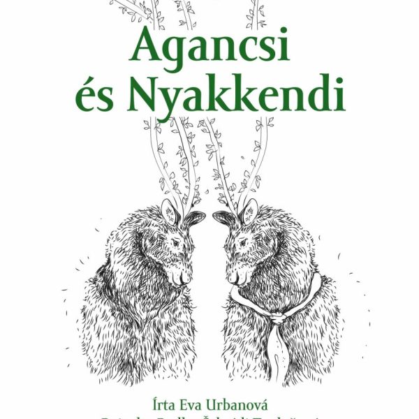 AGANCSI ÉS NYAKKENDI
