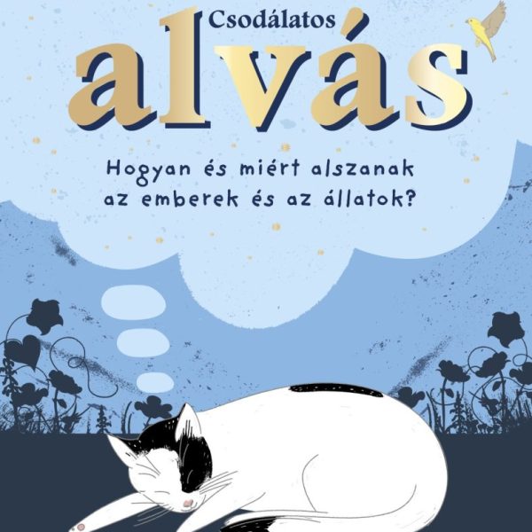 CSODÁLATOS ALVÁS