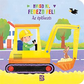 NYISD KI, FEDEZD FEL! - AZ ÉPÍTKEZÉS