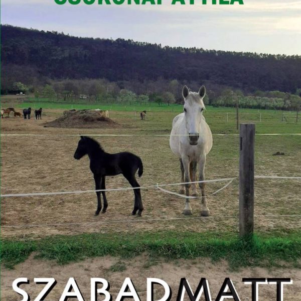 SZABADMATT