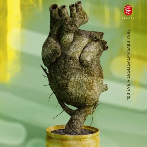 SZIKFÖLD