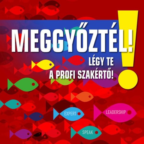 MEGGYŐZTÉL