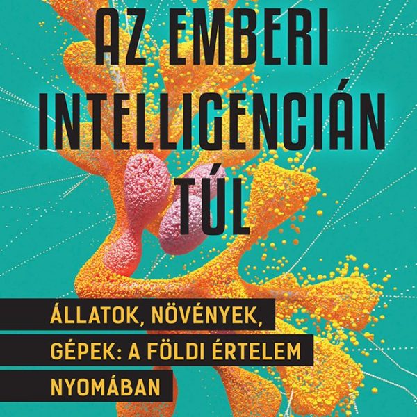 AZ EMBERI INTELLIGENCIÁN TÚL