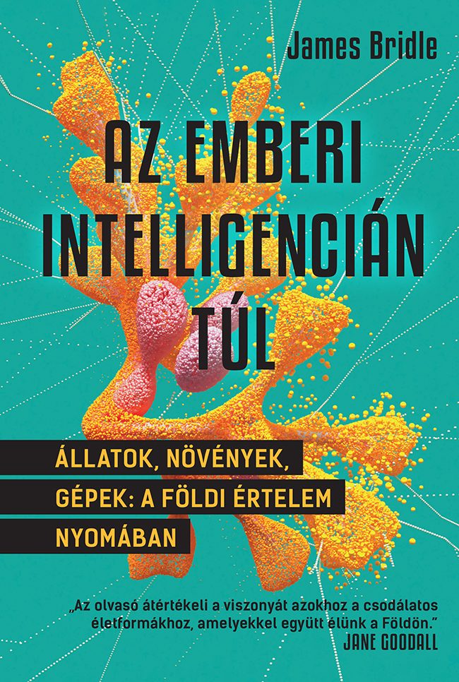 AZ EMBERI INTELLIGENCIÁN TÚL