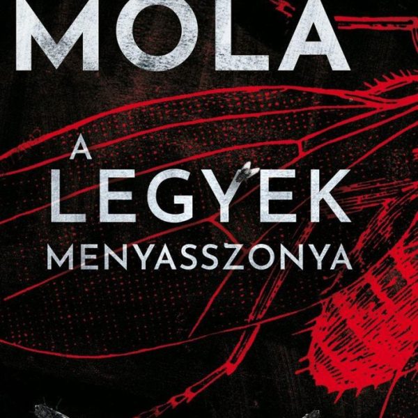 A LEGYEK MENYASSZONYA