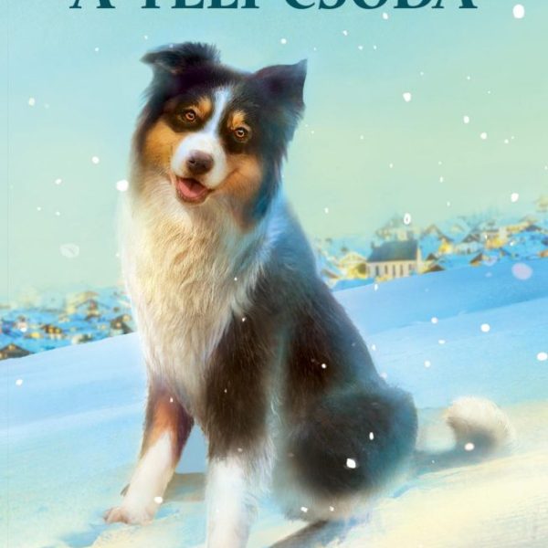 DUSTY - A TÉLI CSODA