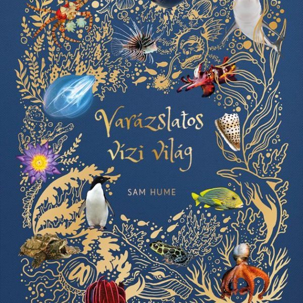 VARÁZSLATOS VÍZI VILÁG - ÉLFESTETT