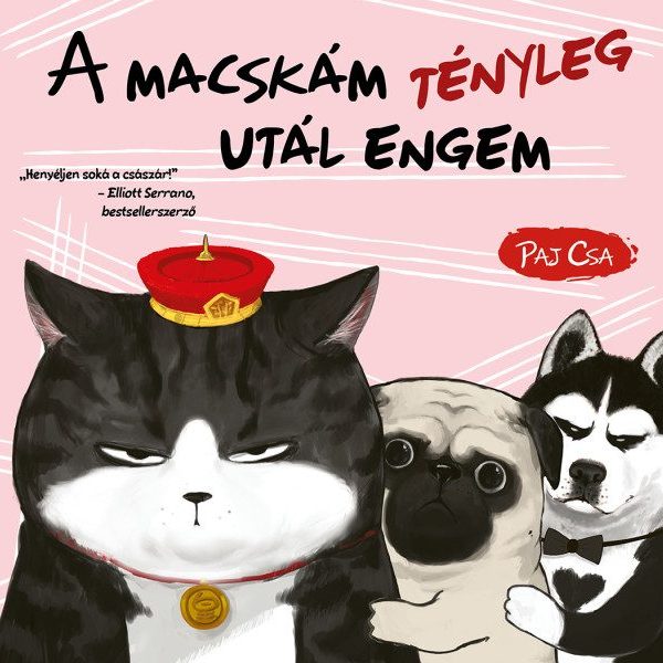 A MACSKÁM TÉNYLEG UTÁL ENGEM (MACSKA ÉS KUTYA 2.)