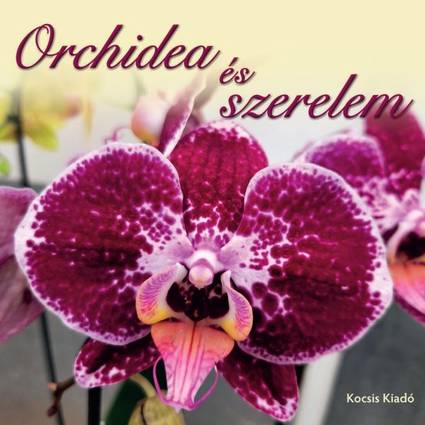 ORCHIDEA ÉS SZERELEM