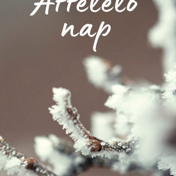 ÁTTELELŐ NAP