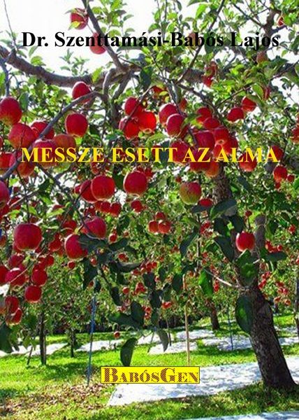 MESSZE ESETT AZ ALMA