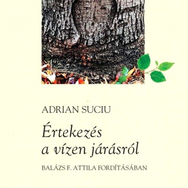 ÉRTEKEZÉS A VÍZEN JÁRÁSRÓL