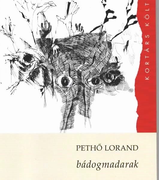 BÁDOGMADARAK