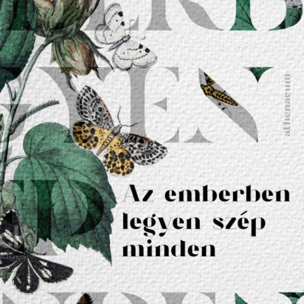 AZ EMBERBEN LEGYEN SZÉP MINDEN