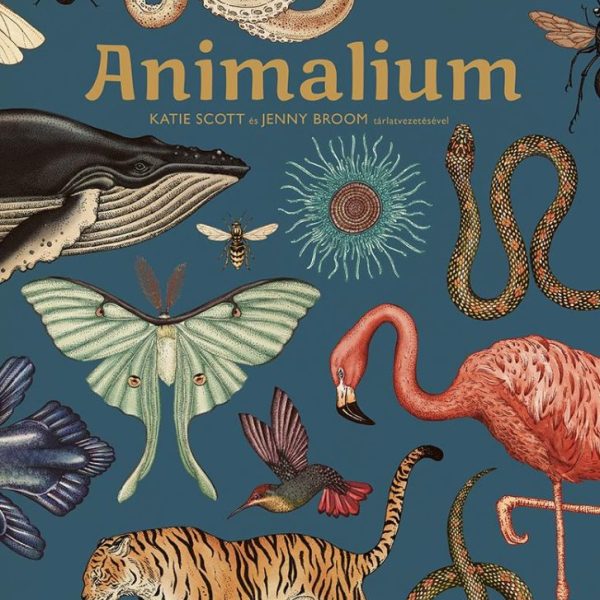 ANIMALIUM - ÜDVÖZLÜNK A MÚZEUMBAN!