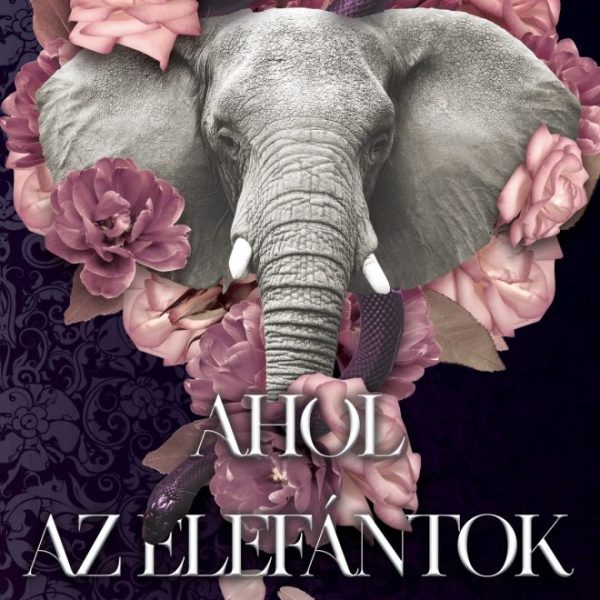 AHOL AZ ELEFÁNTOK SÍRNAK