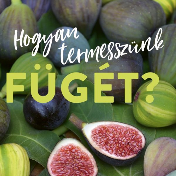 HOGYAN TERMESSZÜNK FÜGÉT?