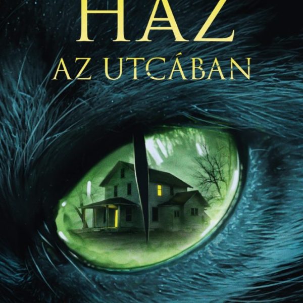 AZ UTOLSÓ HÁZ AZ UTCÁBAN