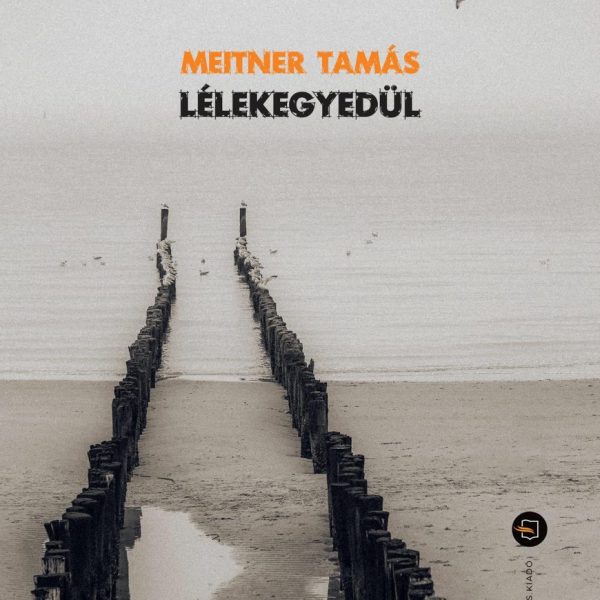 LÉLEKEGYEDÜL