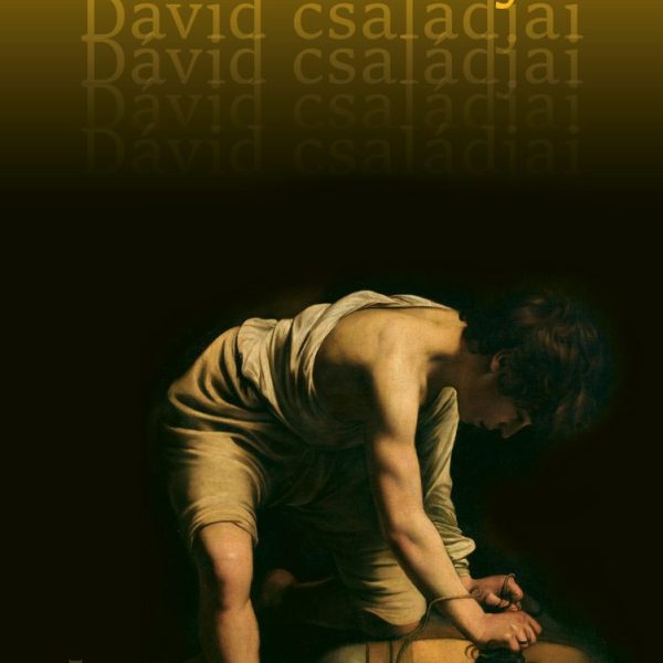 DÁVID CSALÁDJAI