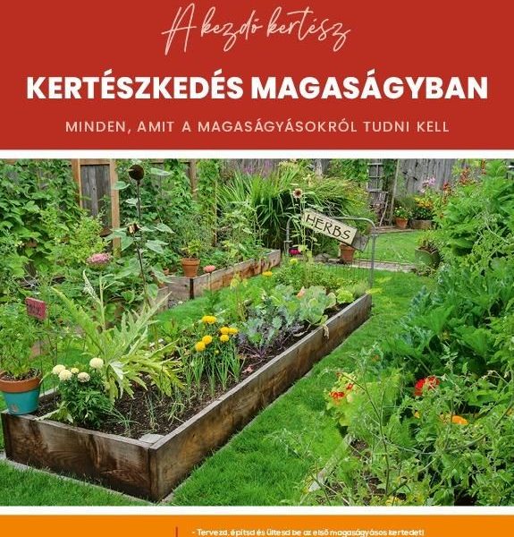 KERTÉSZKEDÉS MAGASÁGYBAN - MINDEN, AMIT A MAGASÁGYÁSOKRÓL TUDNI KELL
