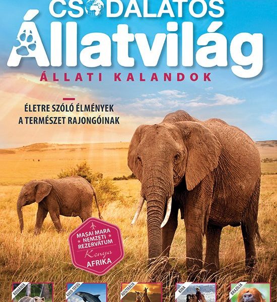 FÜLES BOOKAZINE - CSODÁLATOS ÁLLLATVILÁG - ÁLLATI KALANDOK (2024/01)