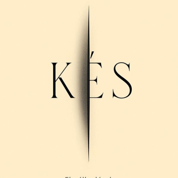 KÉS - ELMÉLKEDÉSEK EGY GYILKOSSÁGI KÍSÉRLET UTÁN