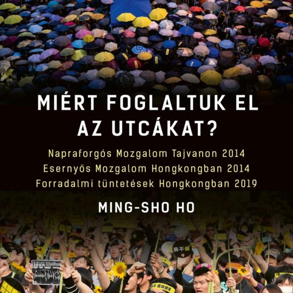 MIÉRT FOGLALTUK EL AZ UTCÁKAT?