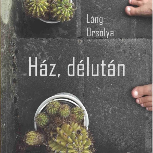 HÁZ, DÉLUTÁN