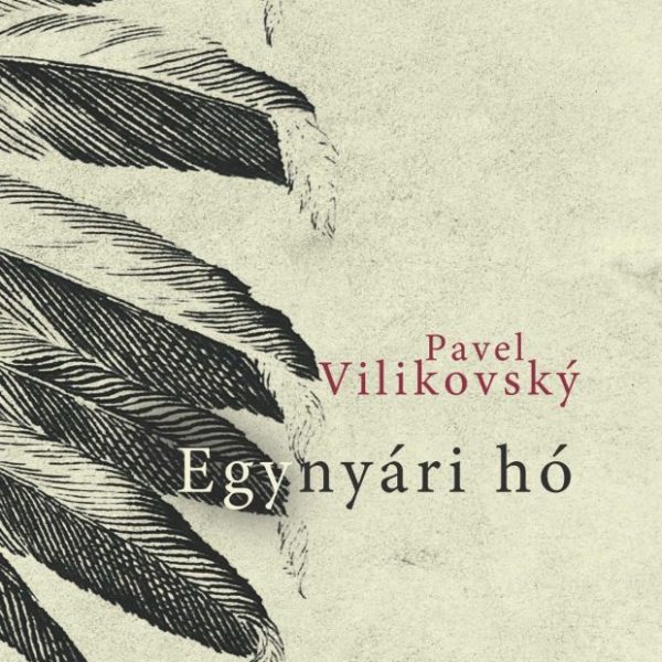 EGYNYÁRI HÓ