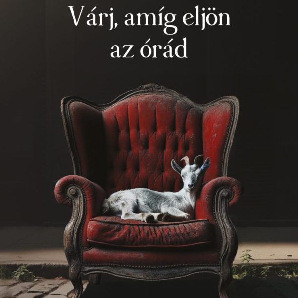VÁRJ, AMÍG ELJÖN AZ ÓRÁD