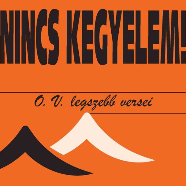 NINCS KEGYELEM!