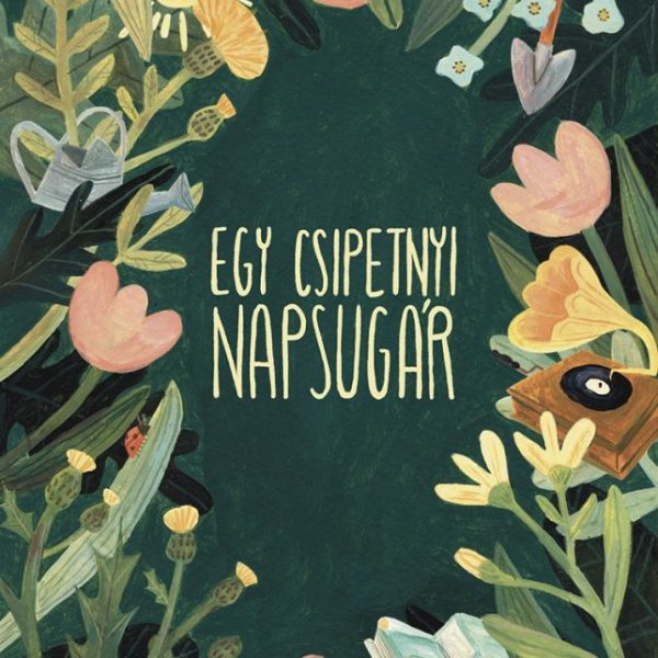 EGY CSIPETNYI NAPSUGÁR