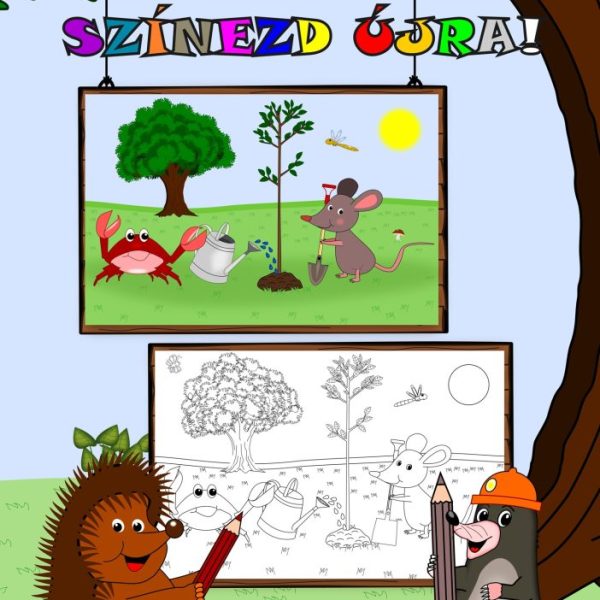 GONDOLKODÓ - SZÍNEZD ÚJRA!