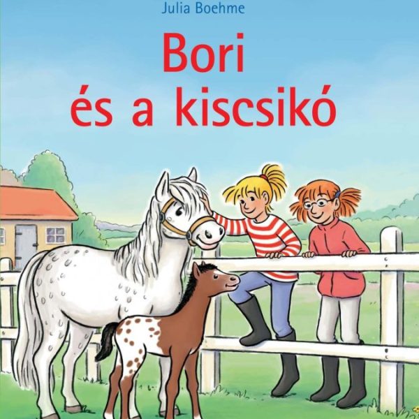 BORI ÉS A KISCSIKÓ (BORI REGÉNY 20.)